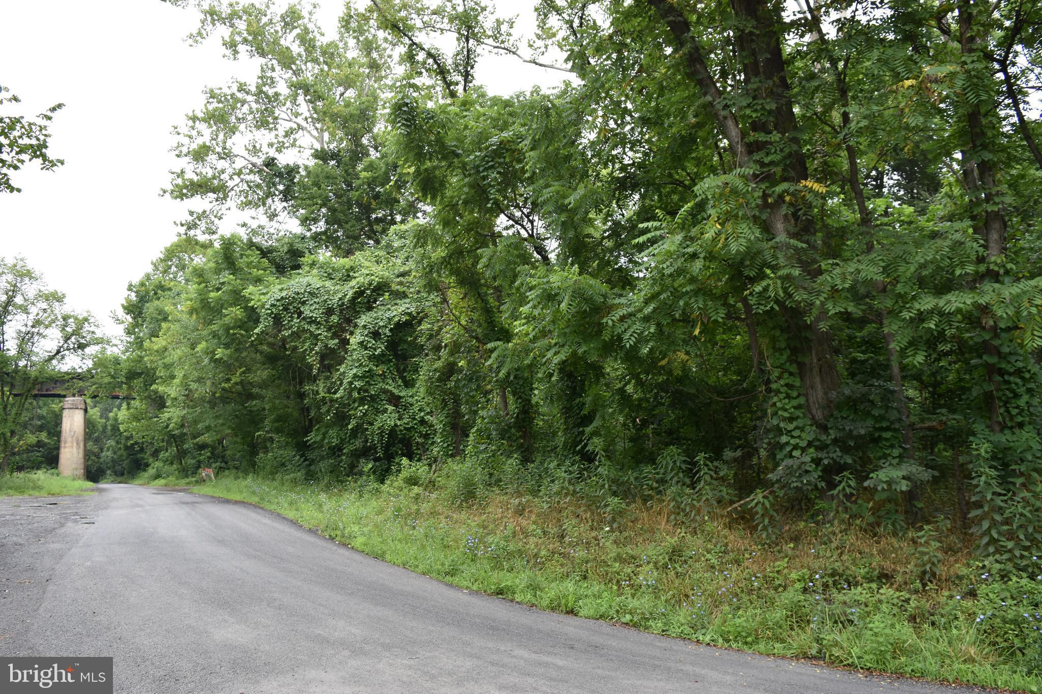 Magnolia Road Great Cacapon, WV 25422 - Photo 31 of 31