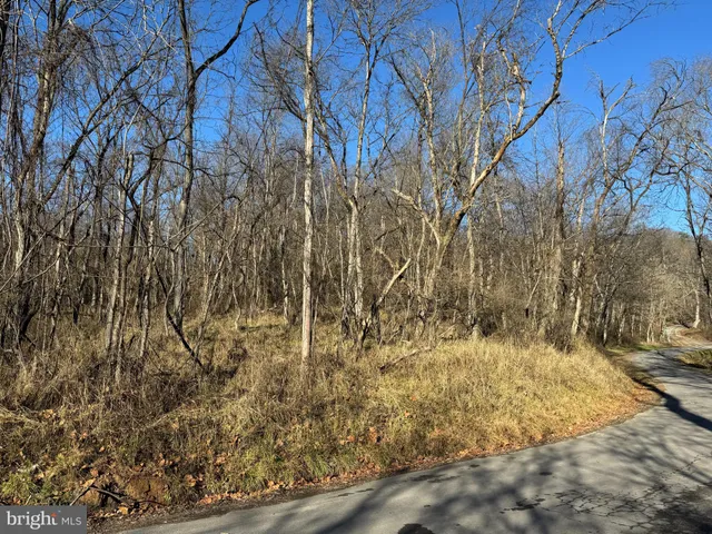 $39,000 | Magnolia Road, Great Cacapon, WV 25422