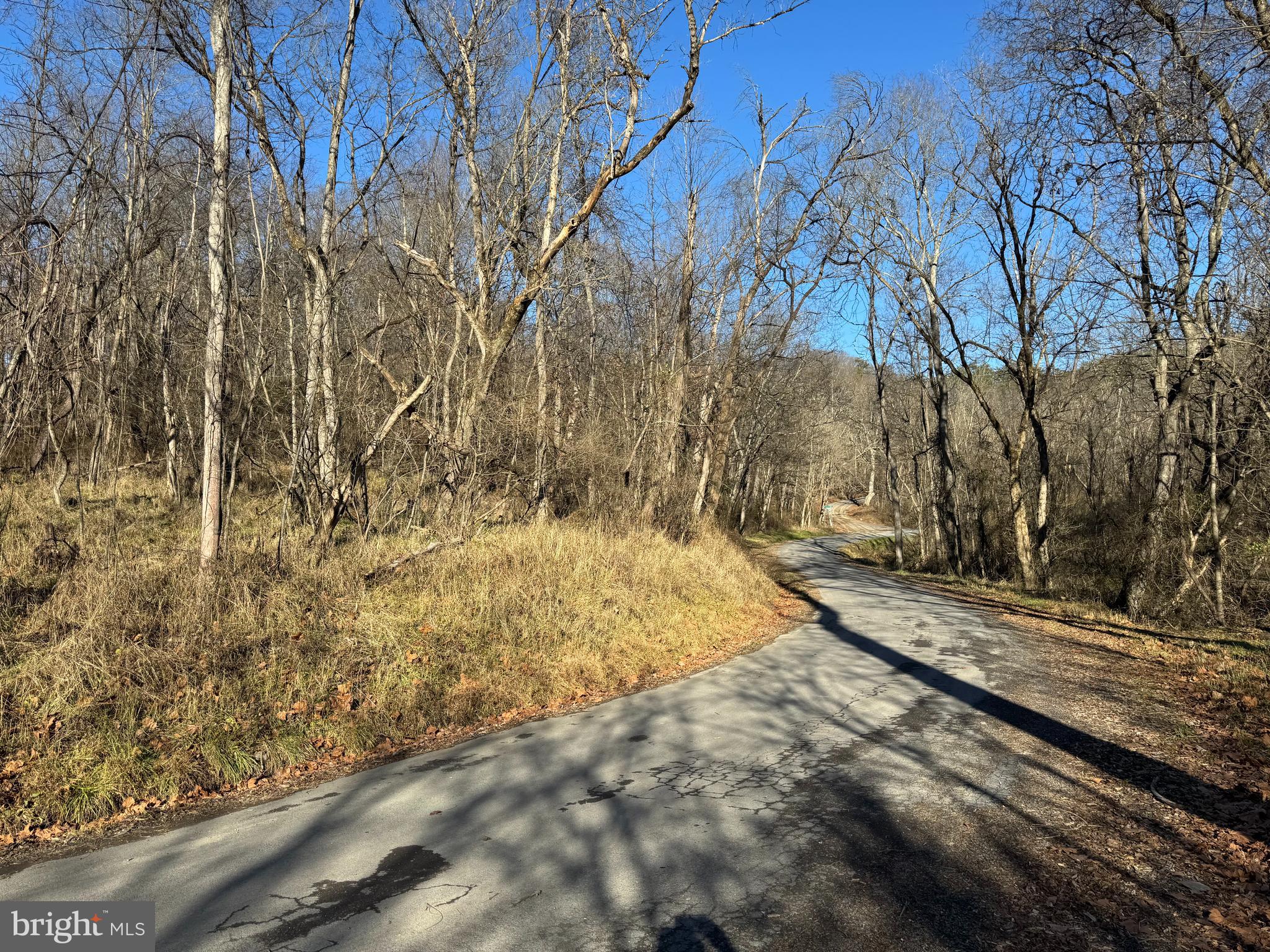 Magnolia Road Great Cacapon, WV 25422 - Photo 6 of 31