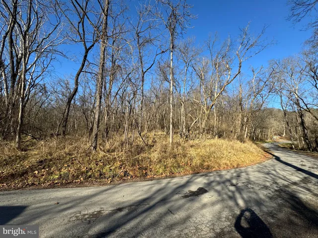 $39,000 | Magnolia Road, Great Cacapon, WV 25422