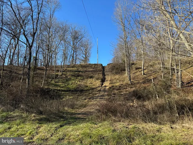 $39,000 | Magnolia Road, Great Cacapon, WV 25422