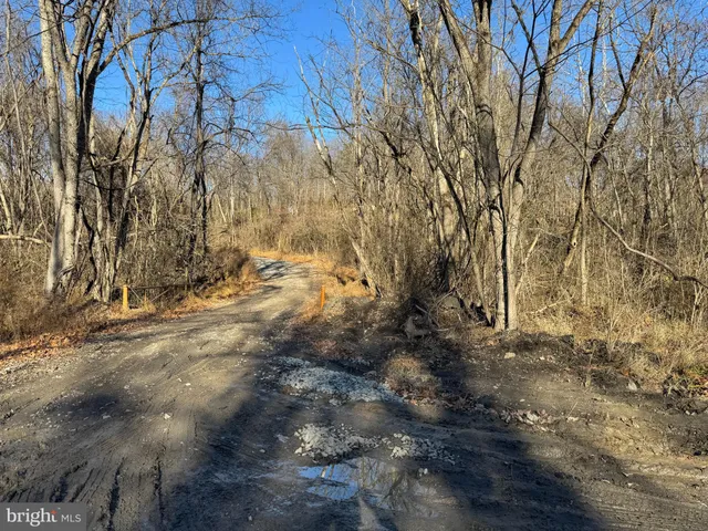 $39,000 | Magnolia Road, Great Cacapon, WV 25422