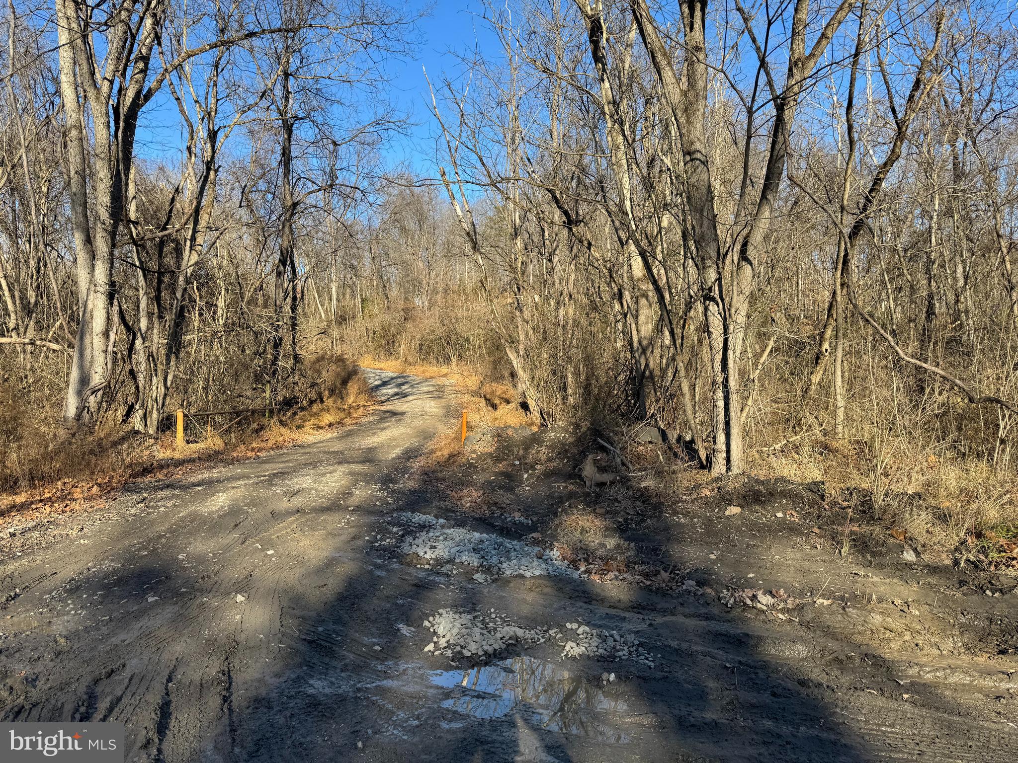 Magnolia Road Great Cacapon, WV 25422 - Photo 9 of 31