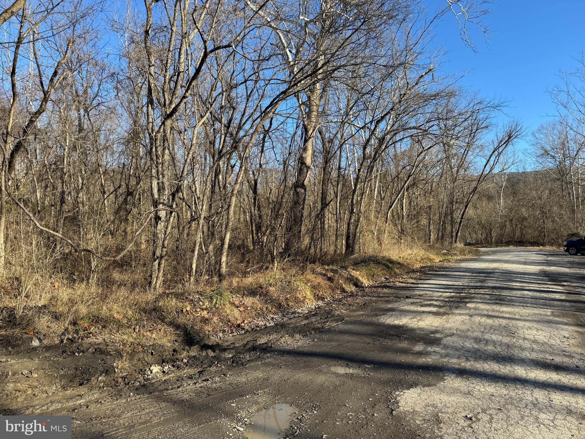 Magnolia Road Great Cacapon, WV 25422 - Photo 10 of 31