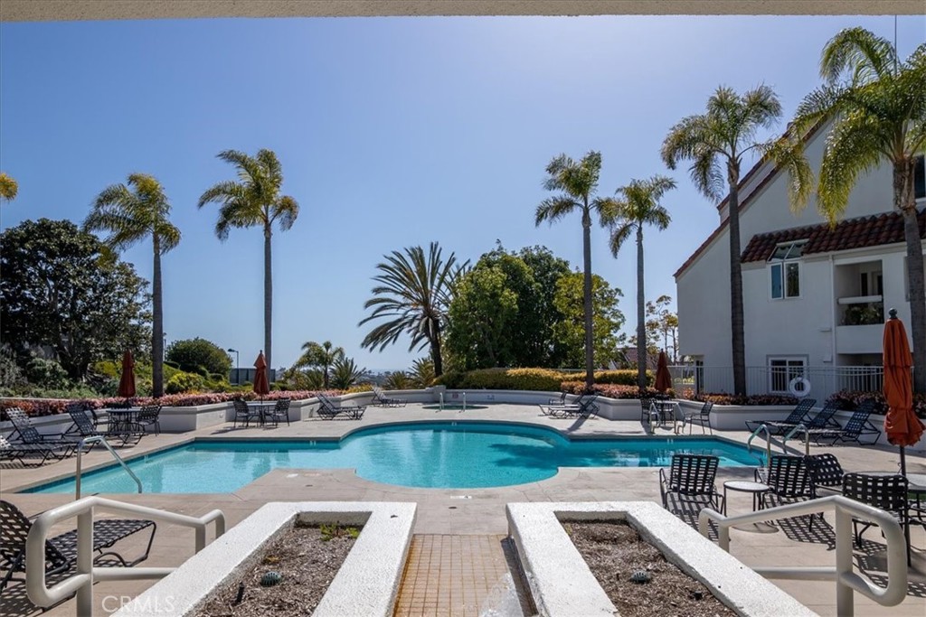 4 Logo Vista Dana Point, CA 92629 - Photo 41 of 44 a view of a swimming pool with a lawn chairs under palm trees