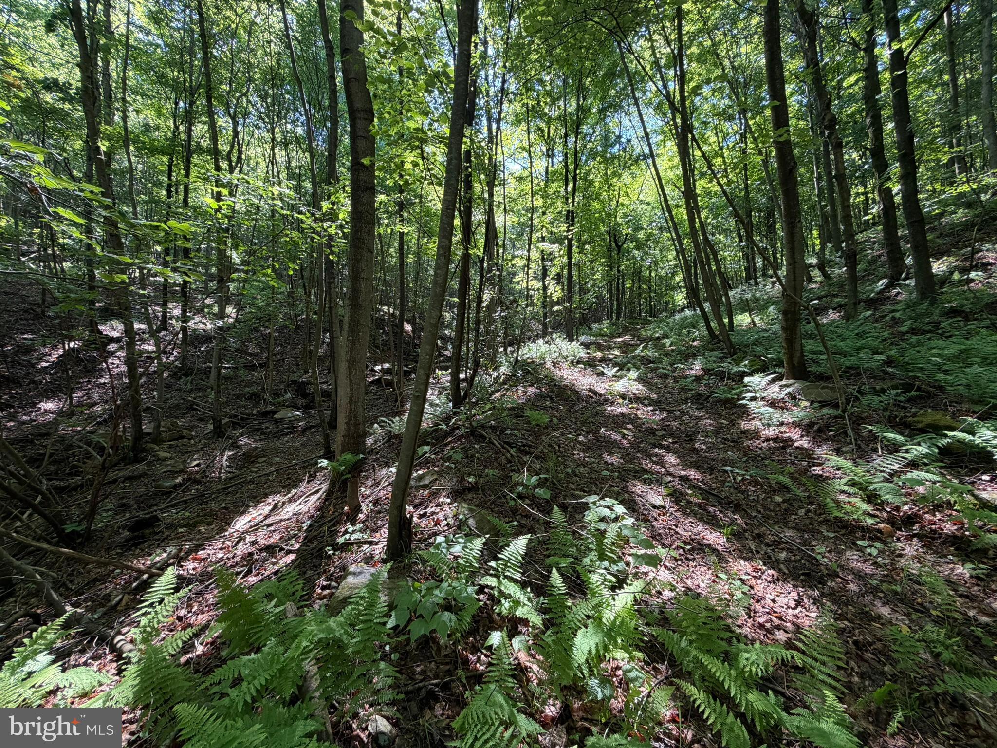 848 Sugar Camp Road Clearfield, PA 16830 - Photo 105 of 118