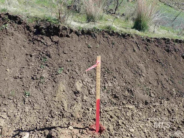 $119,900 | 34245 Grandview Lane, Lenore, ID 83541