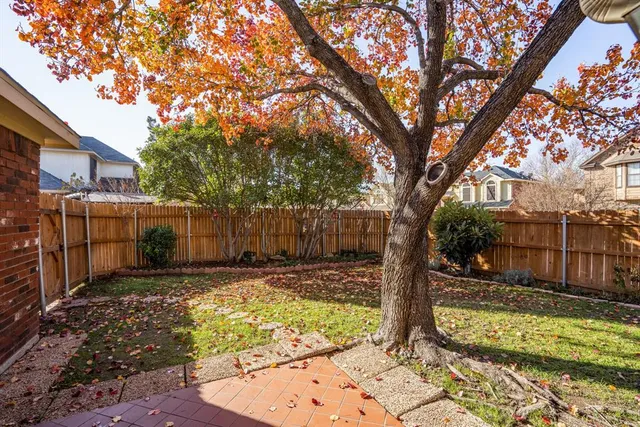 a view of a yard with plants and trees