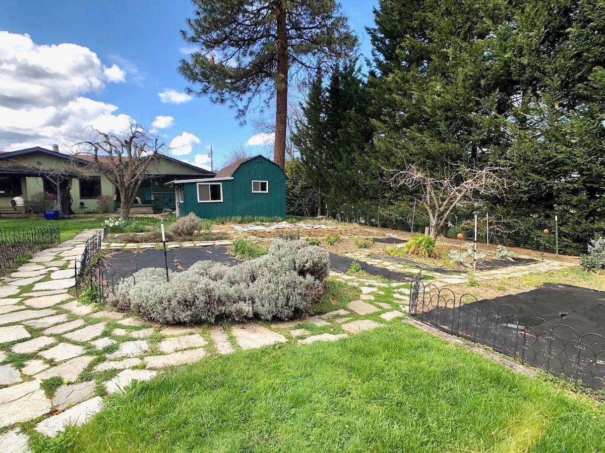 6915 Rapp Lane Talent, OR 97540 - Photo 13 of 40 Organic garden and fruit trees