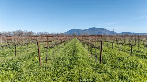 a view of a garden with a mountain