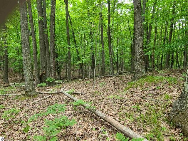 5569 Pine Road Curran, MI 48728 - Photo 5 of 7 Gallery Image 5
