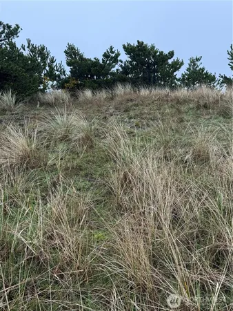 a view of lake with green space