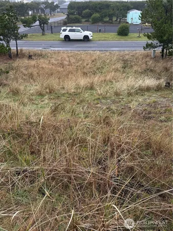 a view of yard with seating space and trees in the background