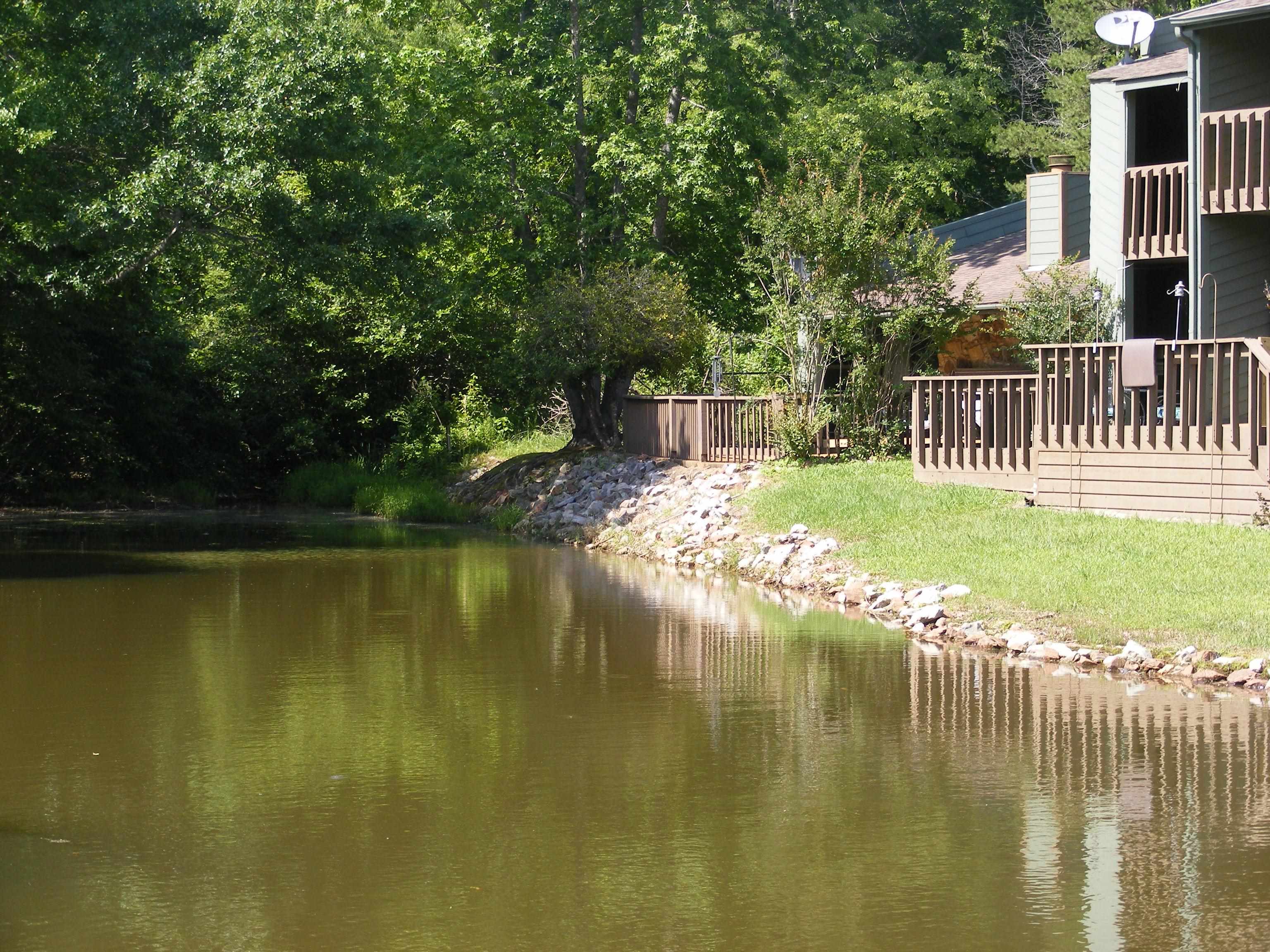 62 Driftwood Road Counce, TN 38326 - Photo 22 of 24