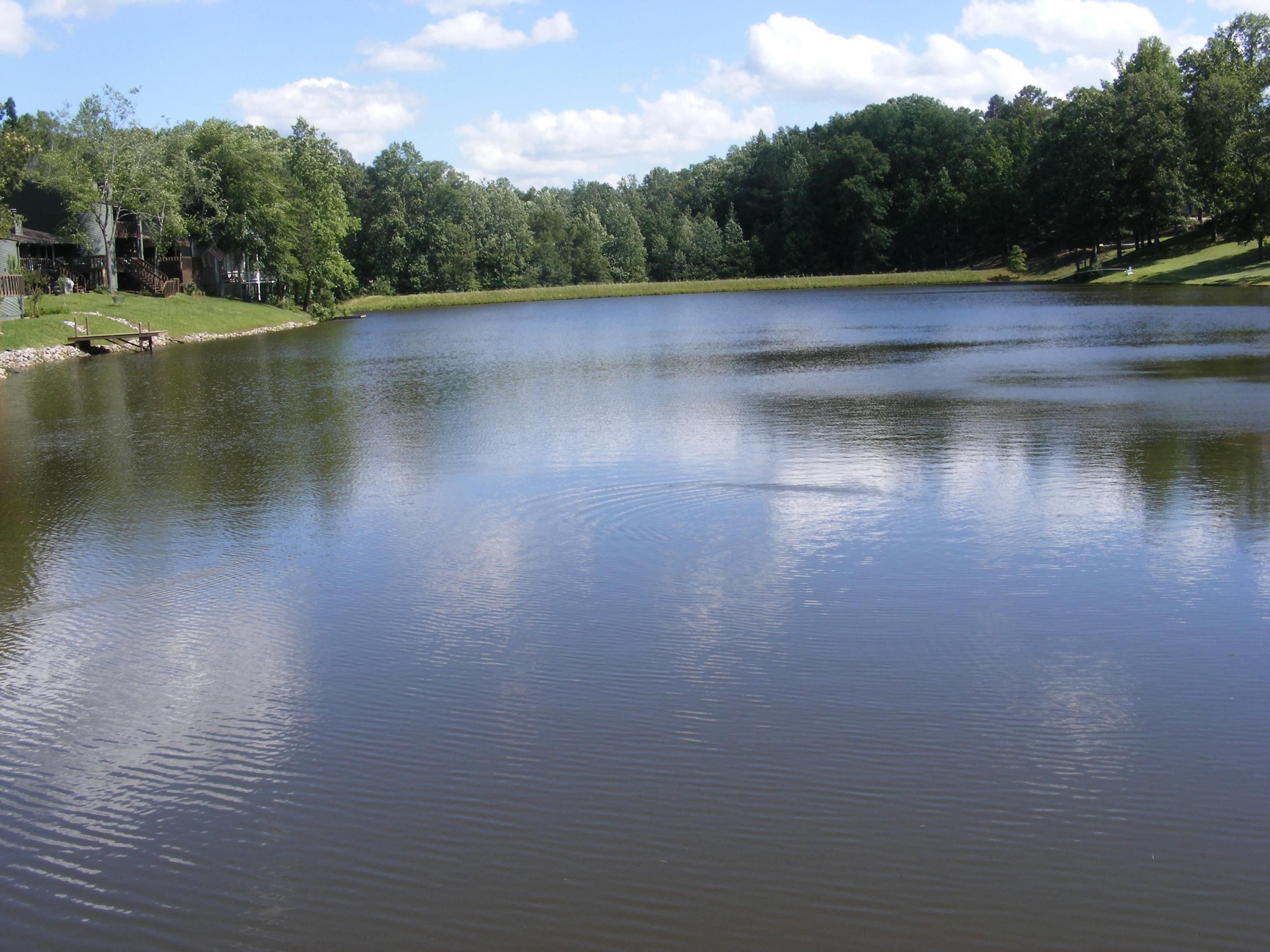 62 Driftwood Road Counce, TN 38326 - Photo 23 of 24 Water view from wooden bridge