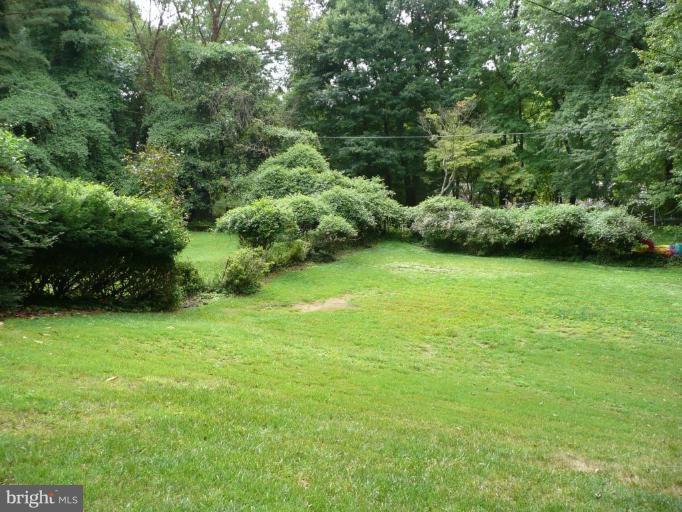 3232 Chestnut Street Northwest Washington, DC 20015 - Photo 5 of 15 Back yard