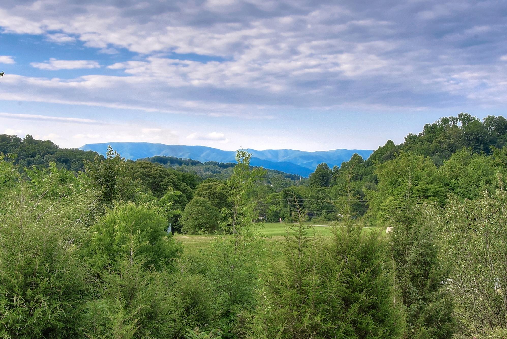 34 East Ridges Drive Chuckey, TN 37641 - Photo 6 of 45 DSC_0037_8_9 - Copy
