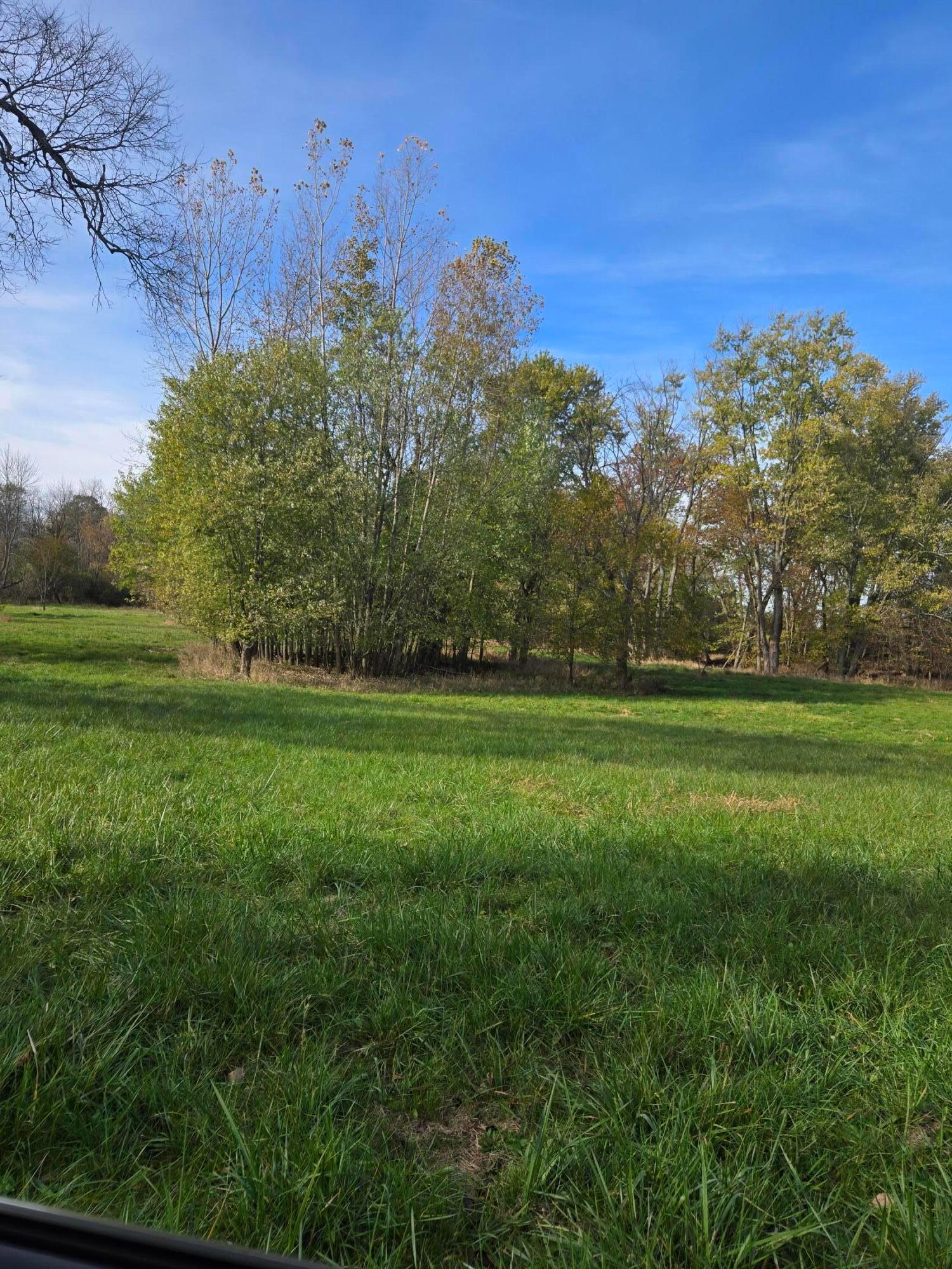 2209 Grewell Road London, OH 43140 - Photo 9 of 17 20241028_112336(0)