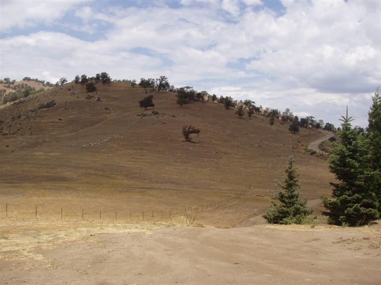 20597 Jury Ranch Drive Tehachapi, CA 93561 - Photo 41 of 50 Gallery Image 41