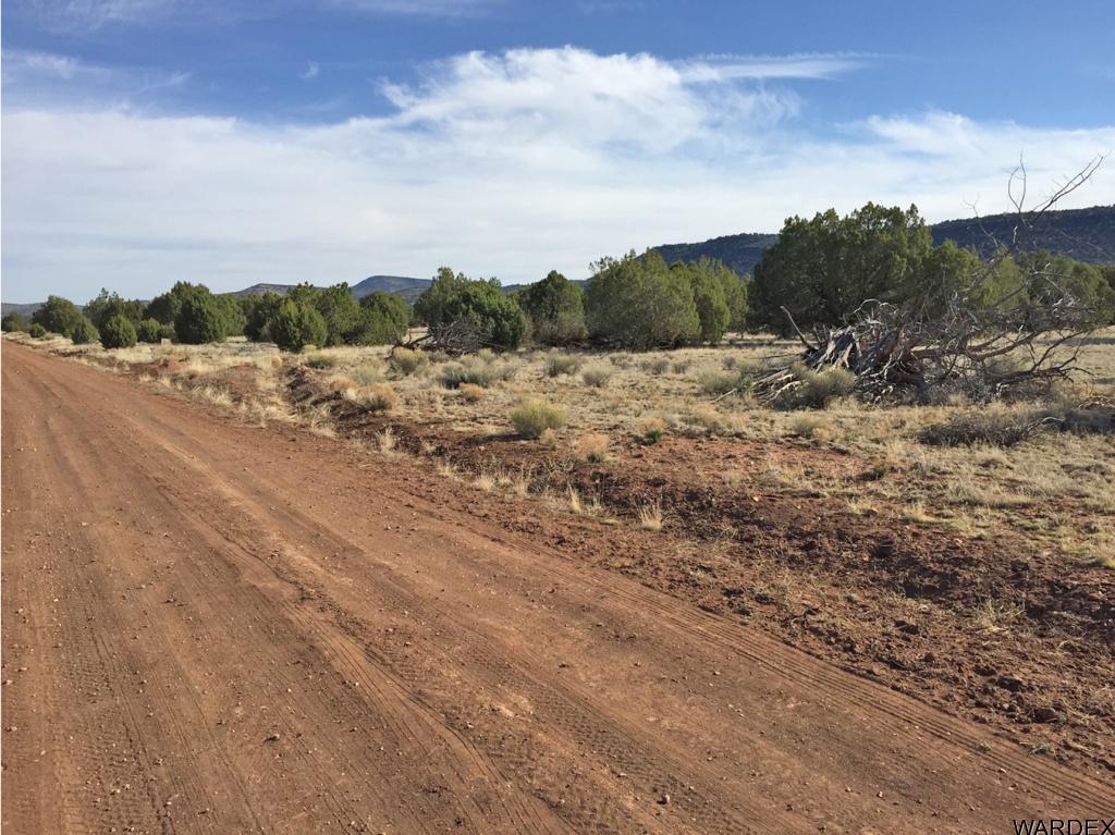 0 North Deadwood Road Seligman, AZ 86337 - Photo 8 of 10 Additional Photo