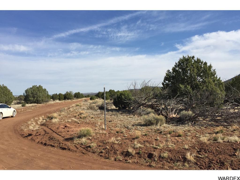 0 North Deadwood Road Seligman, AZ 86337 - Photo 9 of 10 Additional Photo