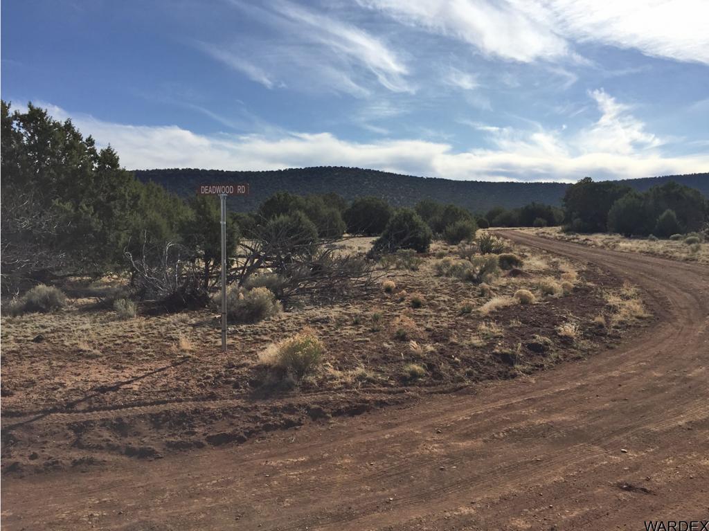 0 North Deadwood Road Seligman, AZ 86337 - Photo 10 of 10 Additional Photo