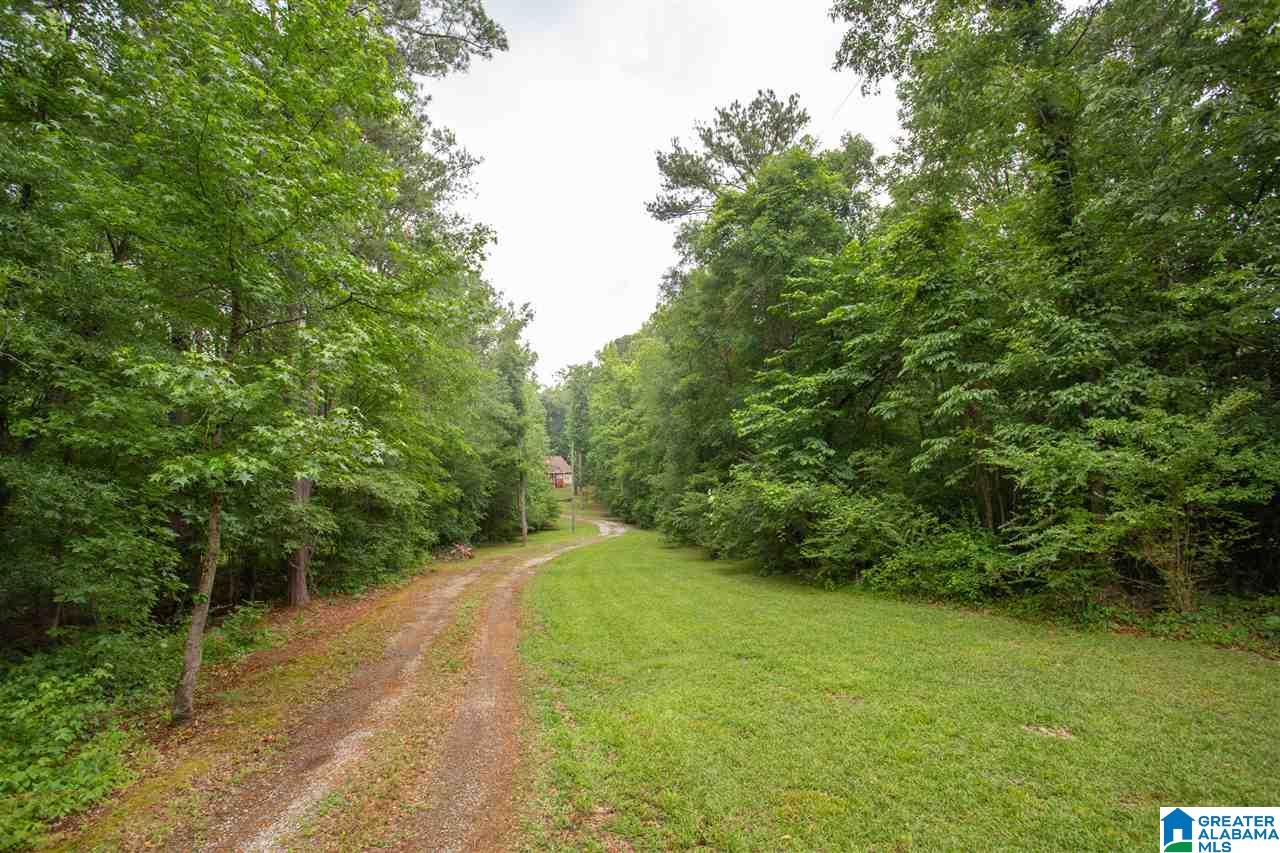 999 Curt Jarrett Road Ashville, AL 35953 - Photo 45 of 45