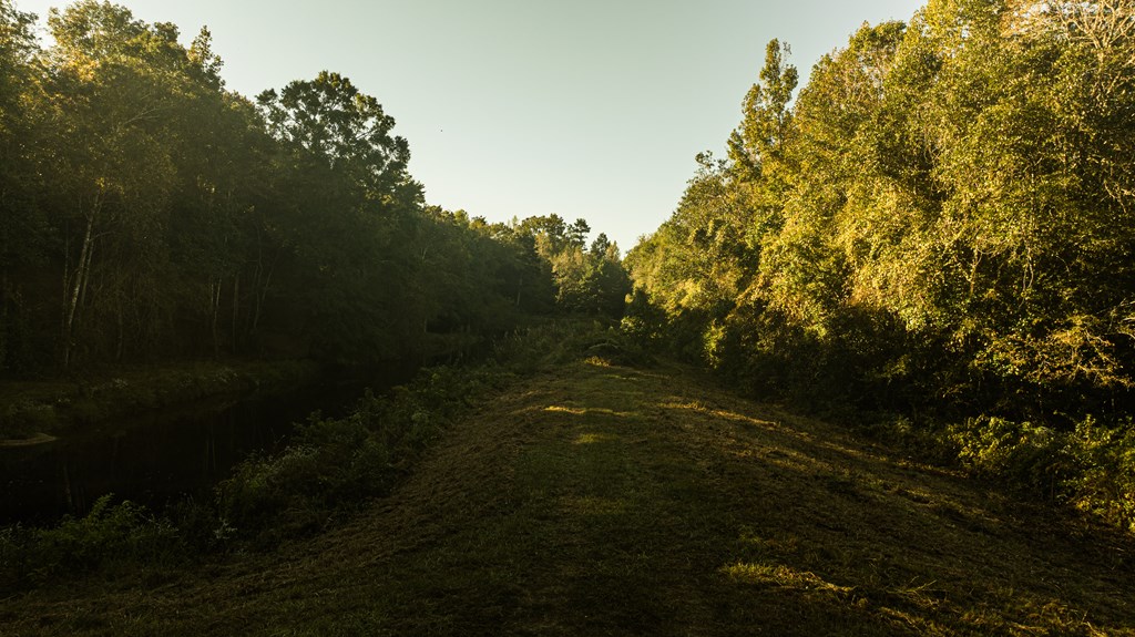 0 Co Road Rockford, AL 35136 - Photo 6 of 11