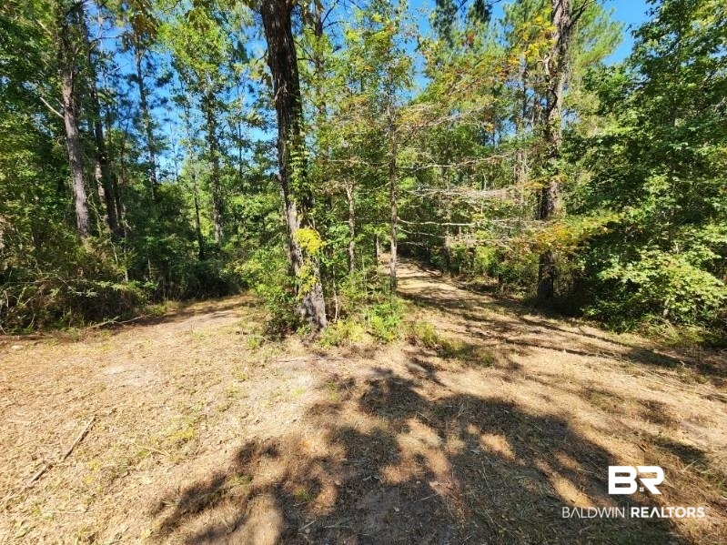 5560 Travis Road Brewton, AL 36426 - Photo 7 of 12