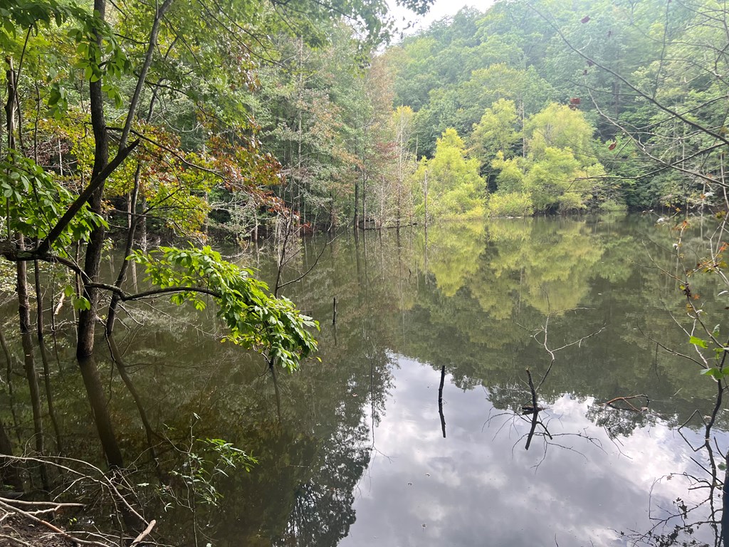 0 Hush Hole Road Travelers Rest, SC 29690 - Photo 4 of 13 Gallery Image 4