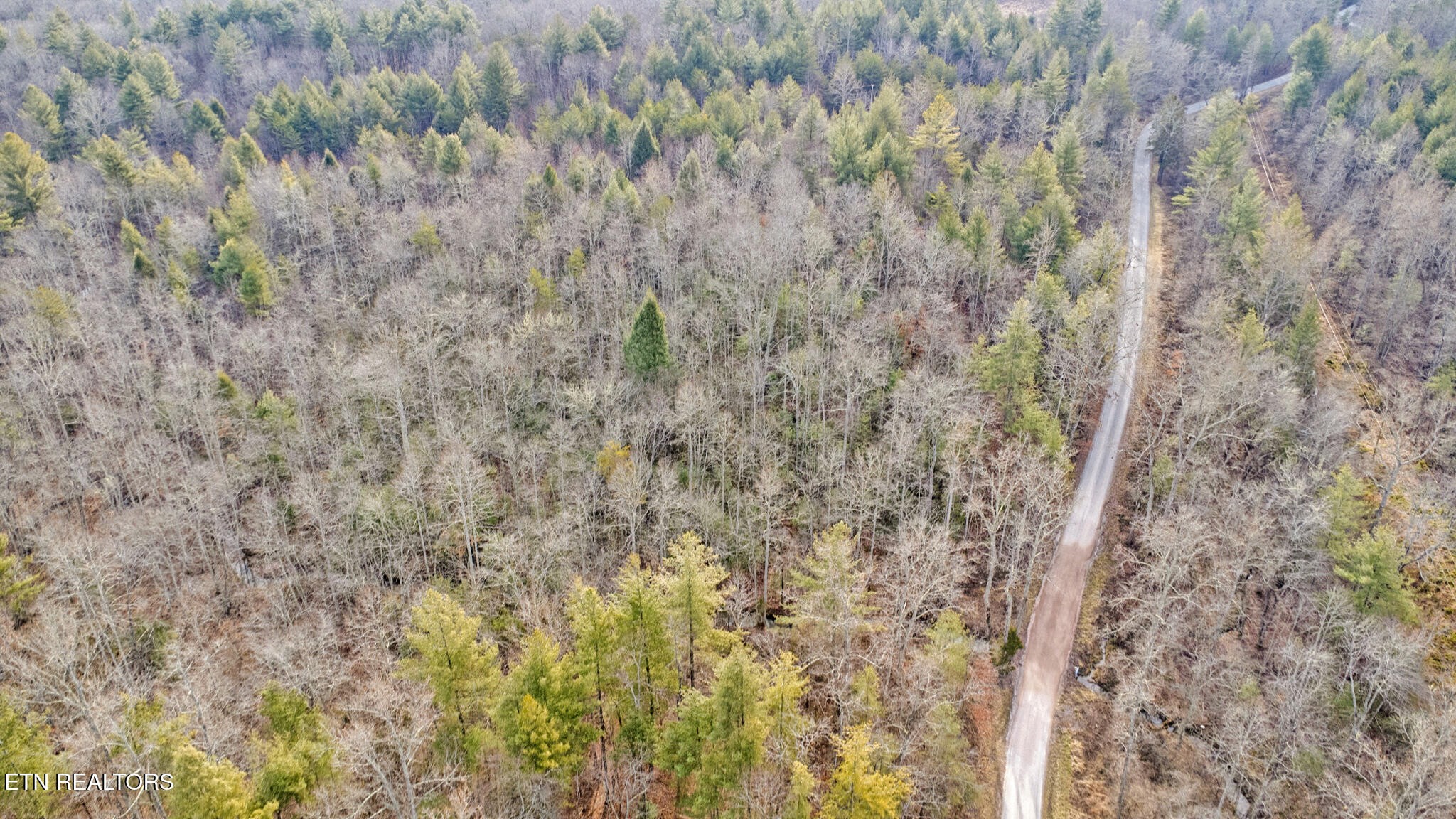 117 Hensley Road Deer Lodge, TN 37726 - Photo 8 of 23 Gallery Image 8