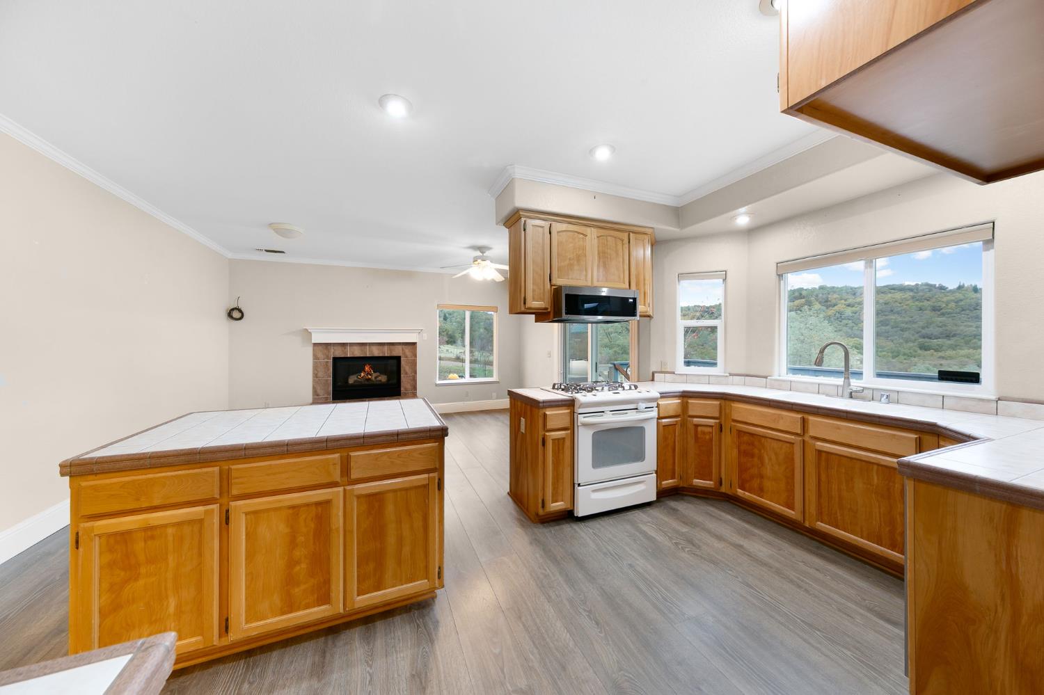 1261 Jurgens Road Rescue, CA 95672 - Photo 11 of 74