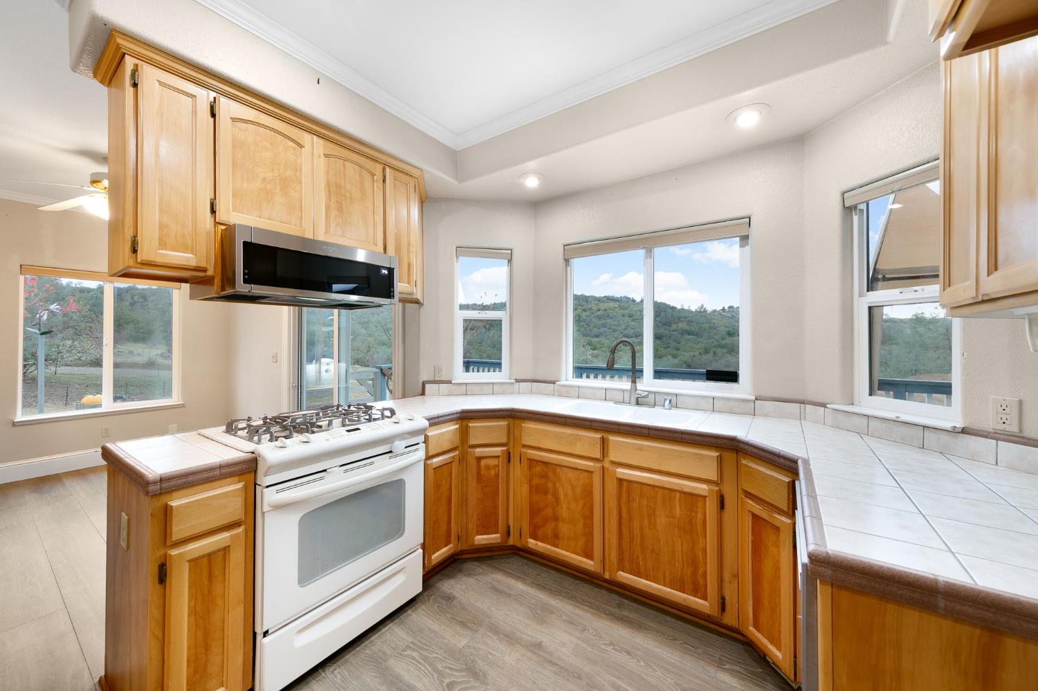 1261 Jurgens Road Rescue, CA 95672 - Photo 13 of 74