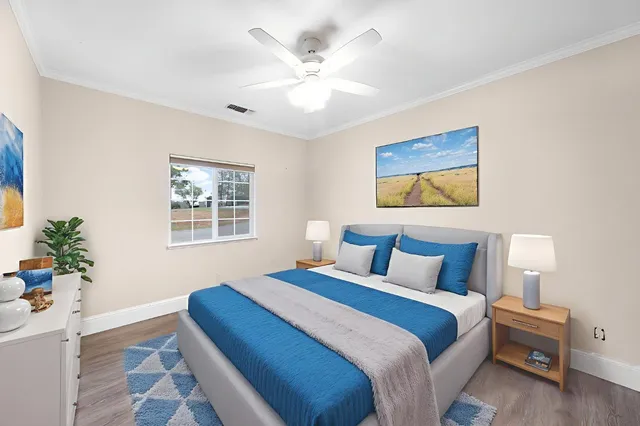 a view of a yard with plants