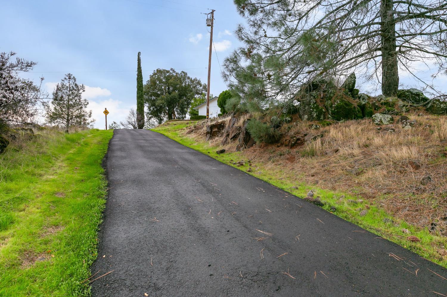 1261 Jurgens Road Rescue, CA 95672 - Photo 35 of 74 a view of a yard with plants