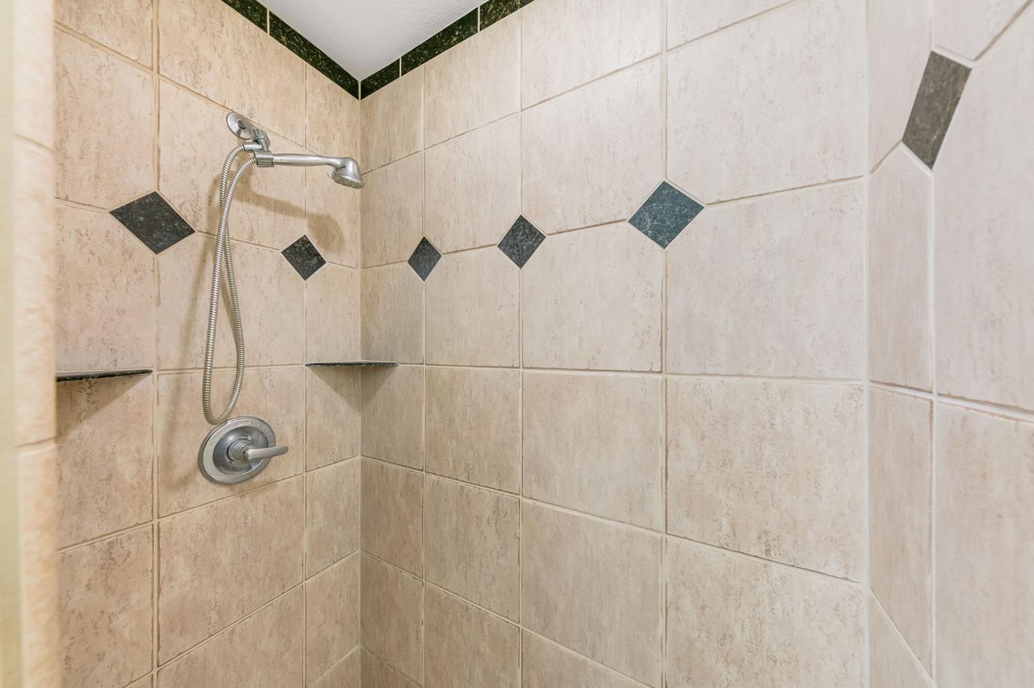 1261 Jurgens Road Rescue, CA 95672 - Photo 56 of 74 a bathroom with a shower