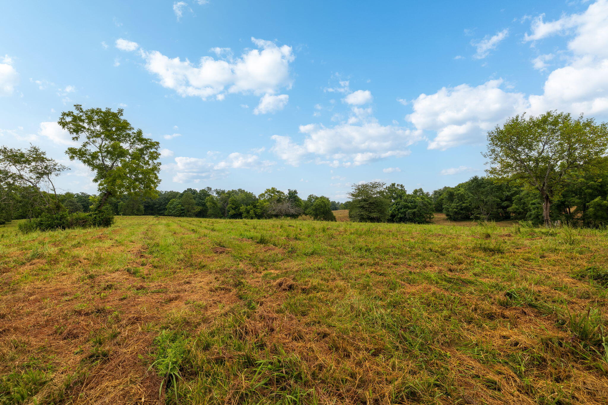 3 Rt Ava, MO 65608 - Photo 39 of 71 58-web-or-mls-A-58