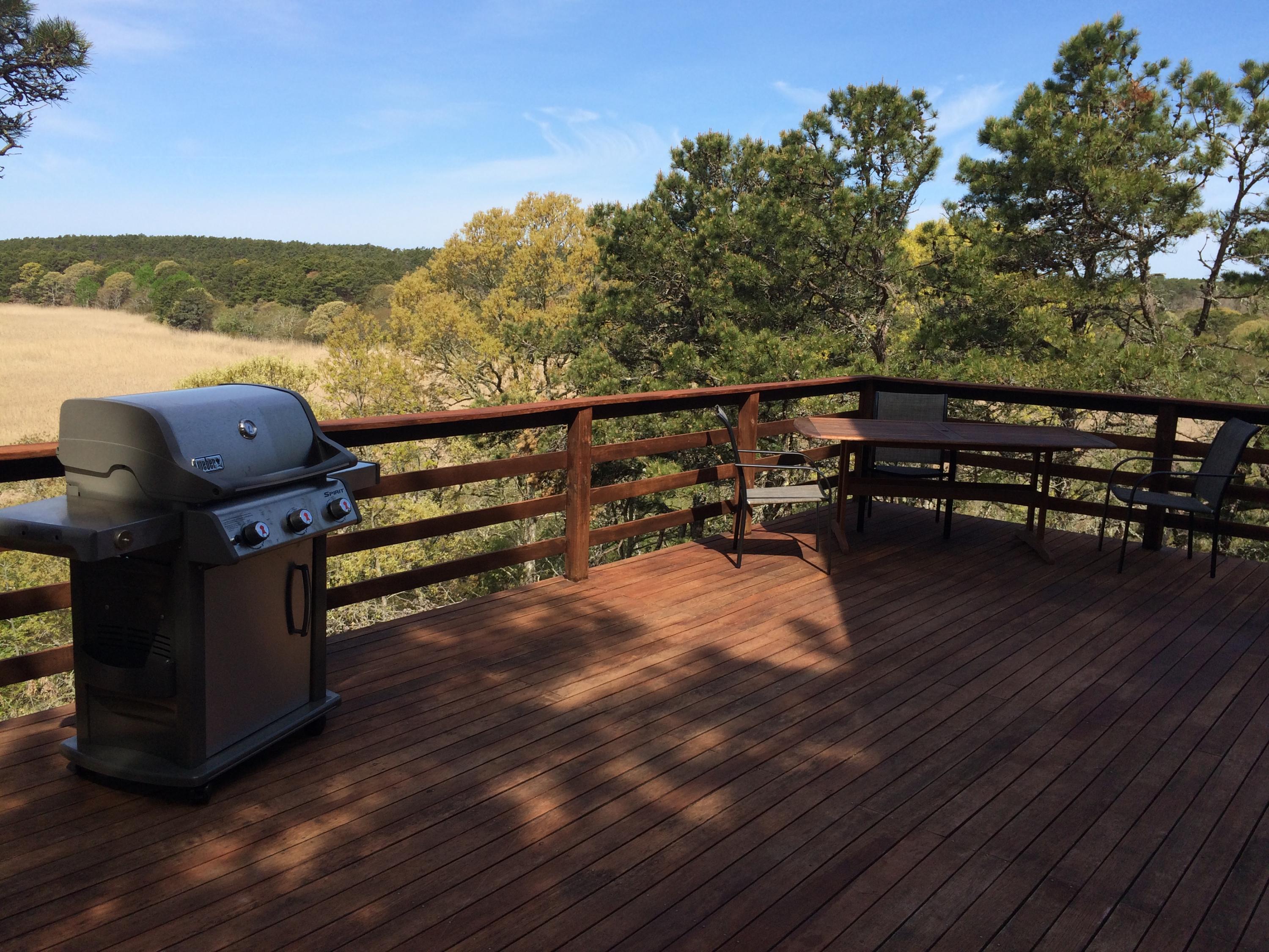 95 Newcomb Hill Road Wellfleet, MA 02667 - Photo 14 of 51 Farrisdeckgrill