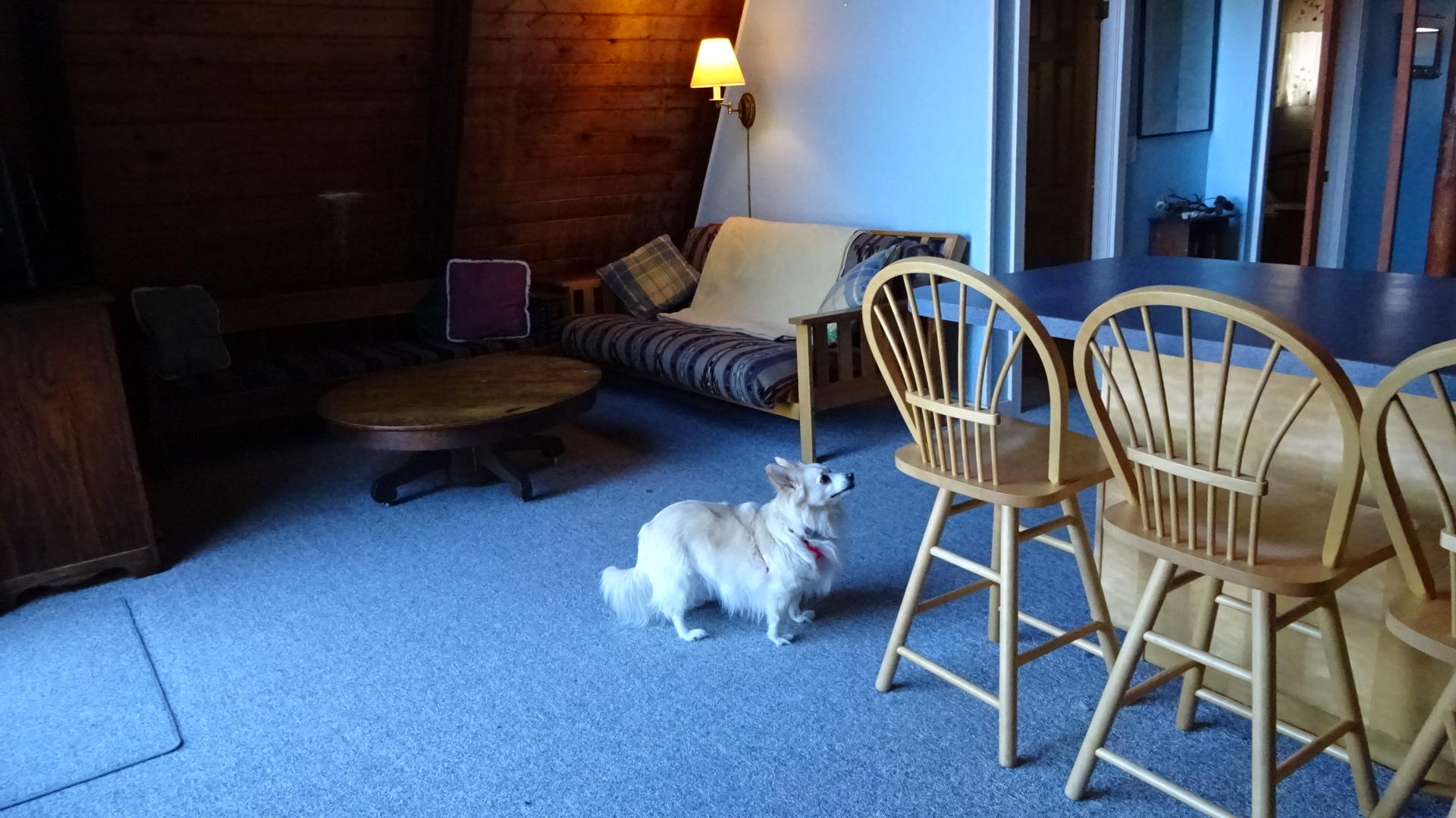 95 Newcomb Hill Road Wellfleet, MA 02667 - Photo 24 of 51 DSC02147