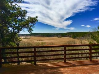 95 Newcomb Hill Road Wellfleet, MA 02667 - Photo 3 of 51 Deck overlooking Herring River