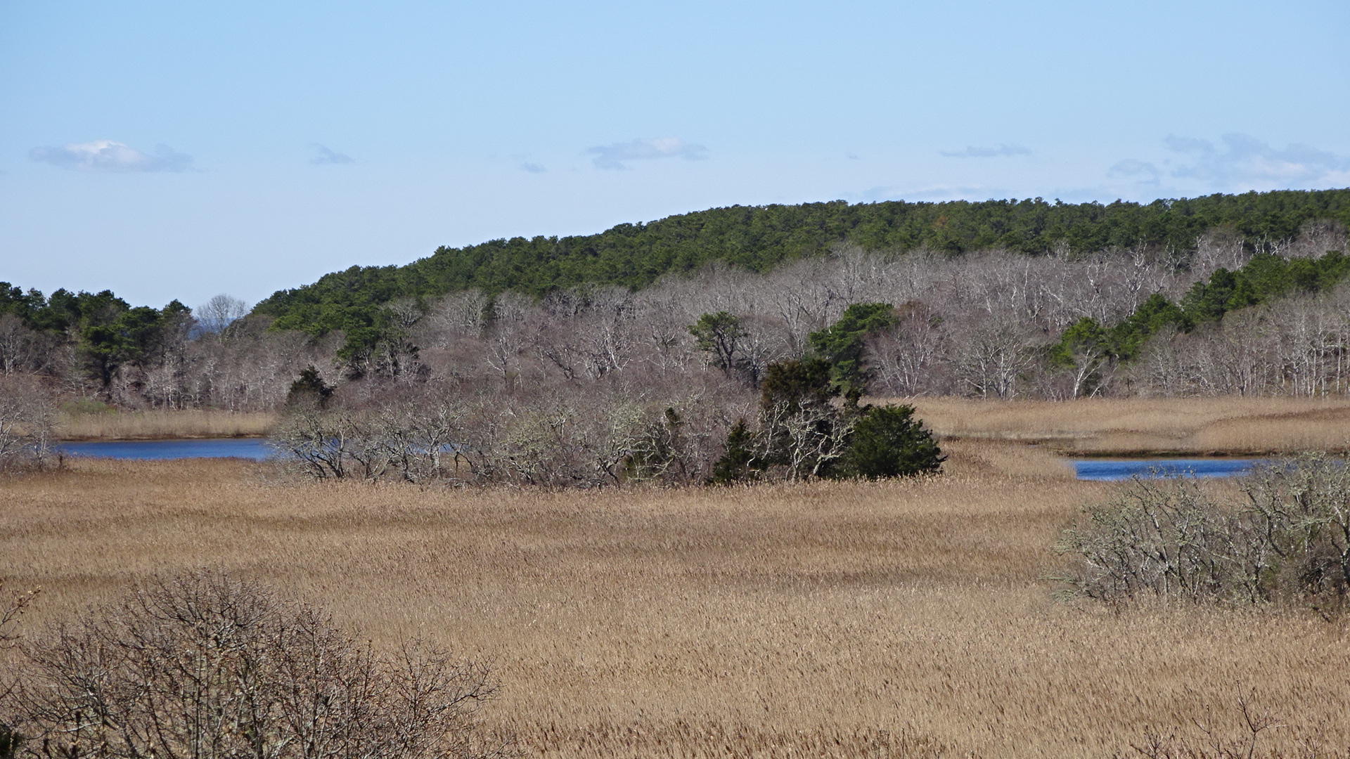 95 Newcomb Hill Road Wellfleet, MA 02667 - Photo 4 of 51 DSC02166