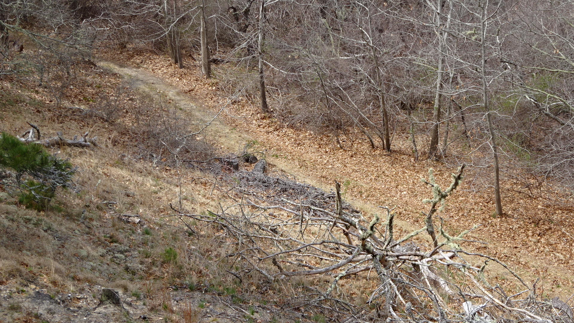 95 Newcomb Hill Road Wellfleet, MA 02667 - Photo 6 of 51 DSC02107