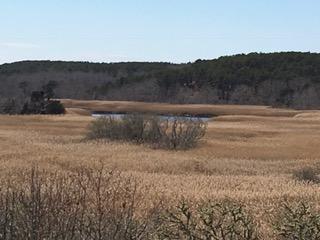95 Newcomb Hill Road Wellfleet, MA 02667 - Photo 8 of 51 IMG_2334