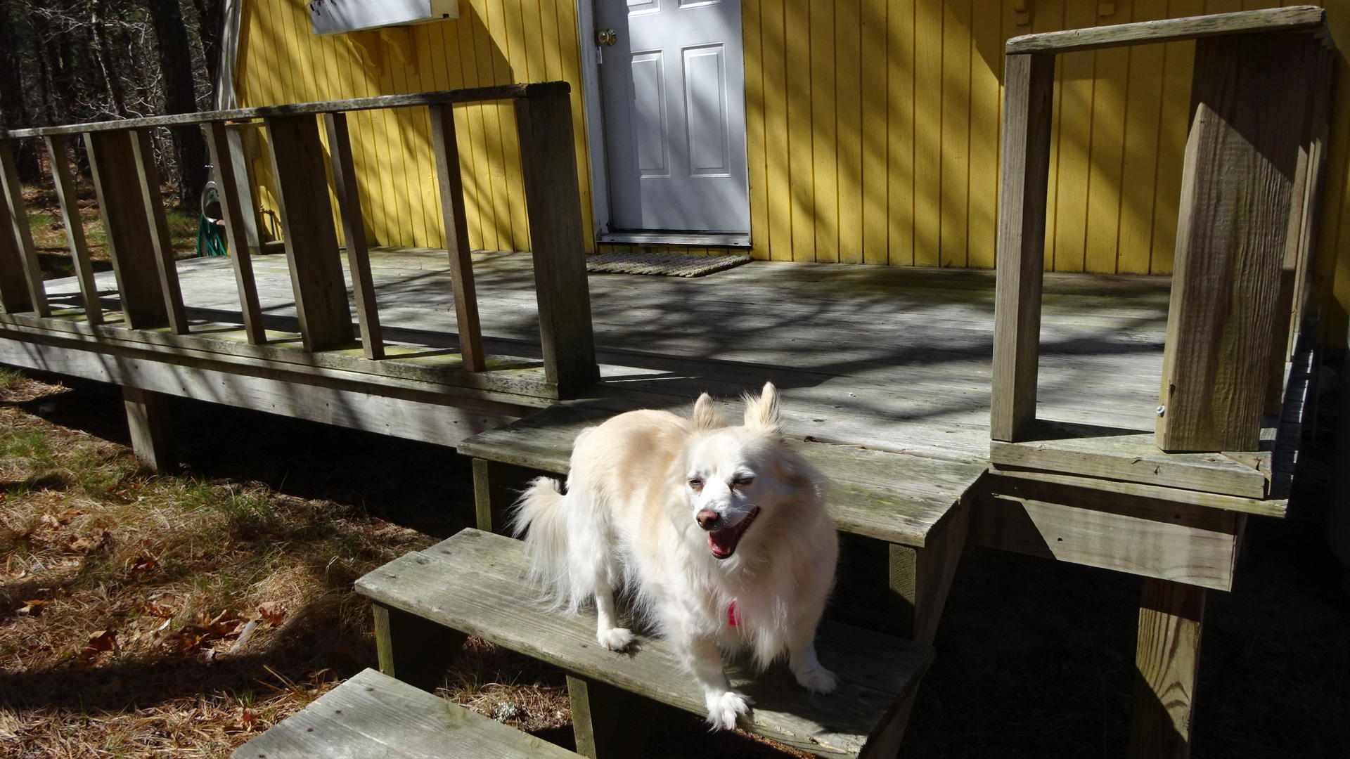 95 Newcomb Hill Road Wellfleet, MA 02667 - Photo 10 of 51 DSC02134