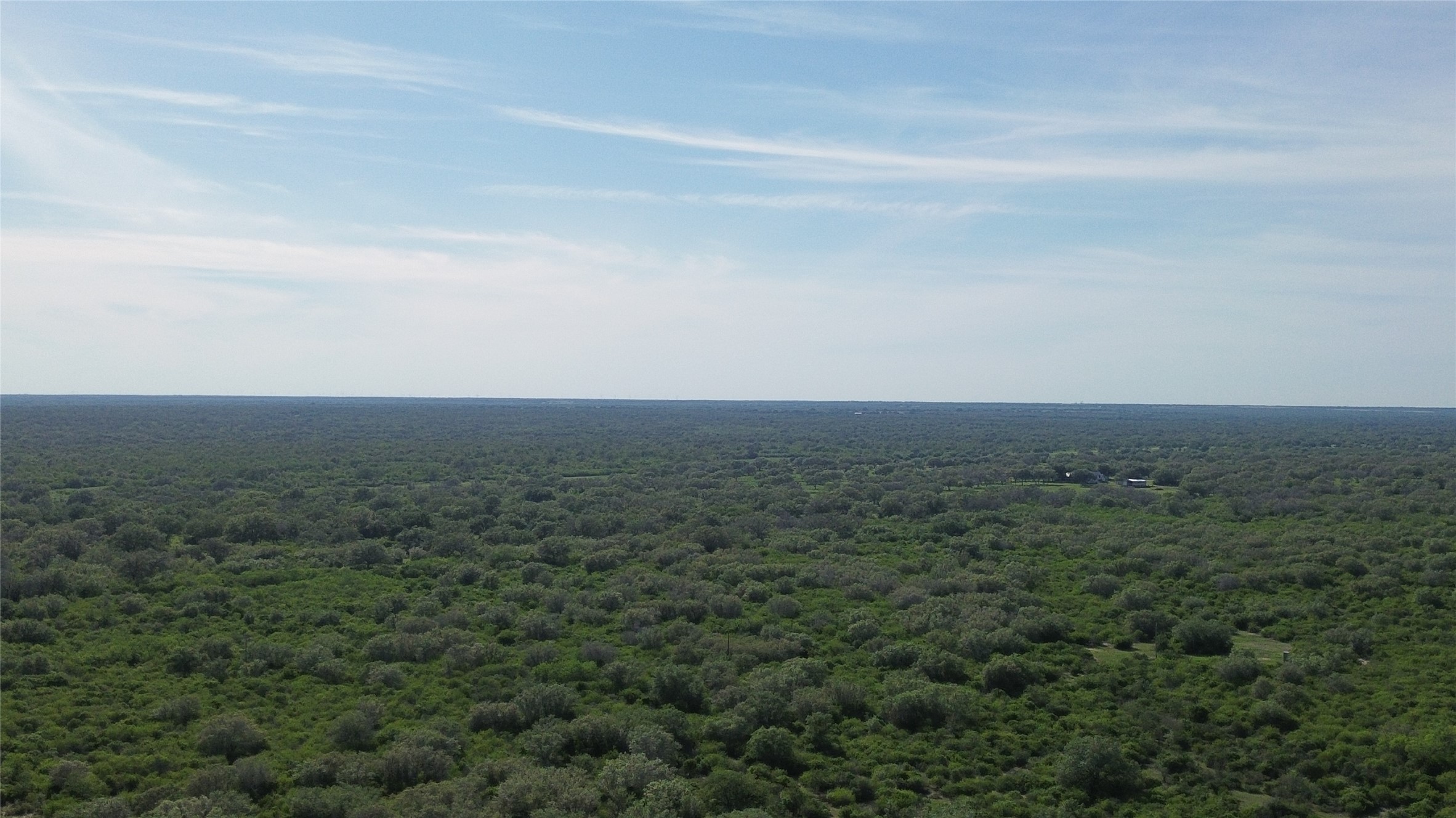 6104 Lucas Road Goliad, TX 77963 - Photo 8 of 32 a view of a field of grass and trees