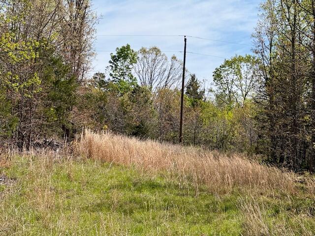 4515 Wallen Road Summersville, MO 65571 - Photo 38 of 74 IMG_5396