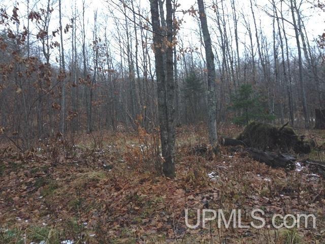 N10749 Powderville Road Bessemer, MI 49911 - Photo 10 of 10 Gallery Image 10