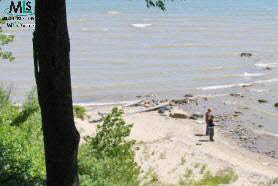 7346 Mortimer Line Road Lexington, MI 48450 - Photo 8 of 10 354851-7.JPG