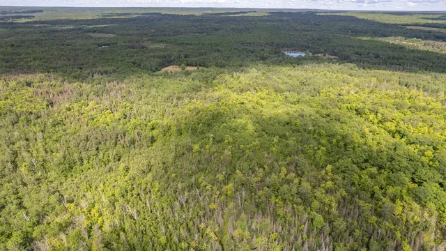 $379,000 | 5577 South Cant Road, Duluth, MN 55804