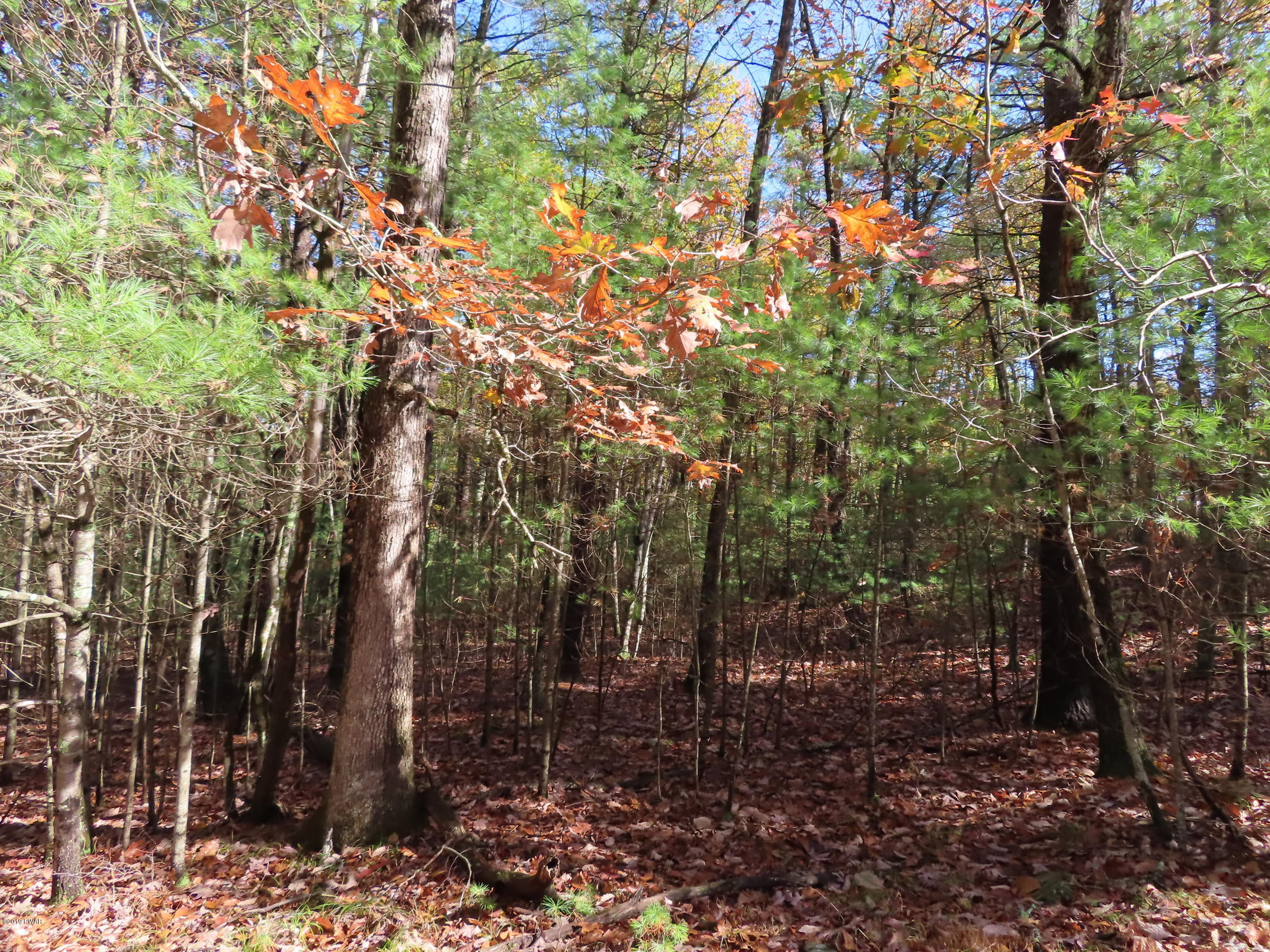 Lot 536 Timber Ridge Drive Hawley, PA 18428 - Photo 1 of 10